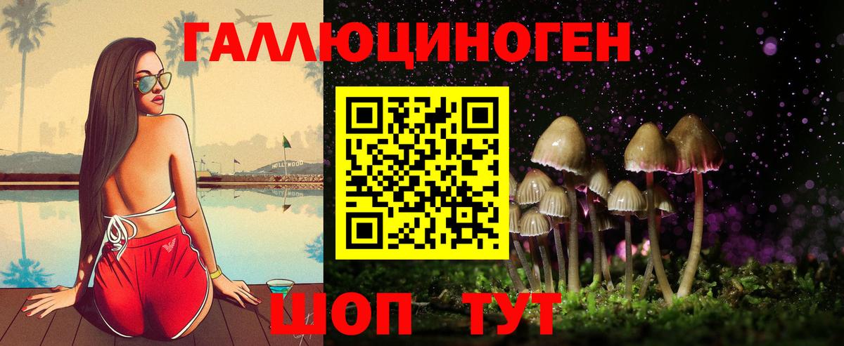 Чита  Галлюциногенные грибы прущие грибы  Вход с VPN 