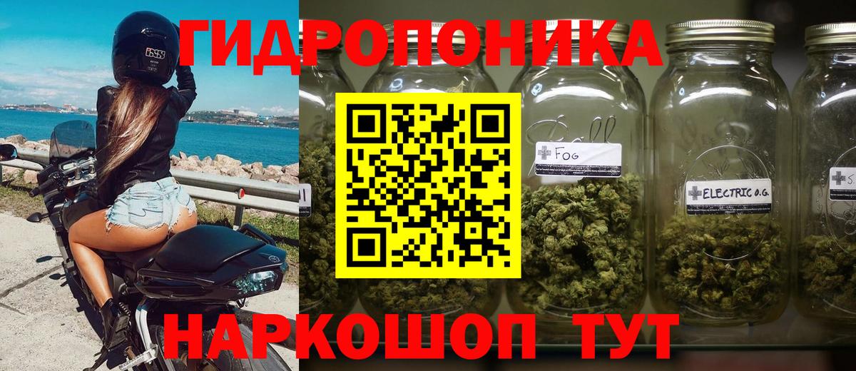 Чита  Конопля планчик  Вход с VPN  Канабис Amnesia  МАРИХУАНА Amnesia 